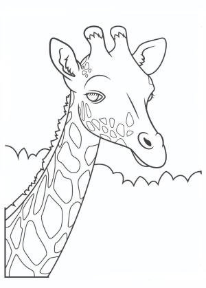 Hayvanlar boyama sayfası,  coloring page, Zürafa, 