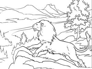 Hayvanlar boyama sayfası,  coloring page, Aslan eşyalarını incelemek için tepeye tırmandı, 