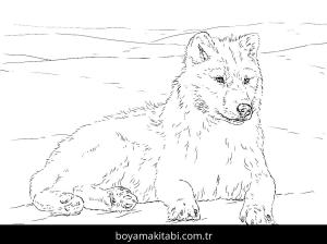 Hayvanlar boyama sayfası,  coloring page, , Arctic Wolf