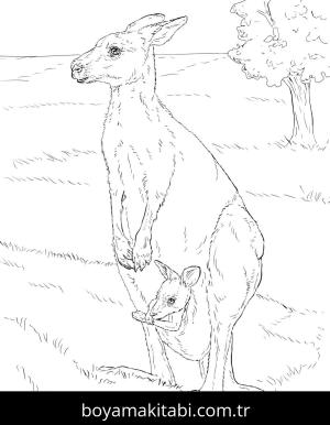 Hayvanlar boyama sayfası,  coloring page, , Realistic Eastern Kangaroo