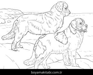 Hayvanlar boyama sayfası,  coloring page, , Realistic German Shepherd Dogs