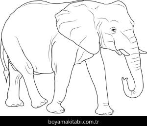 Hayvanlar boyama sayfası,  coloring page, , Free African Elephant