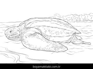Hayvanlar boyama sayfası,  coloring page, , Realistic Leatherback Turtle Coloring Pages