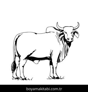Hayvanlar boyama sayfası,  coloring page, , Free Cow