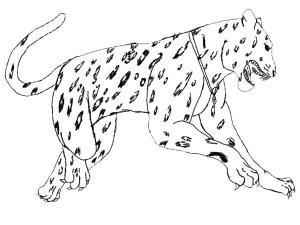 Hayvanlar boyama sayfası,  coloring page, Güzel leopar, 