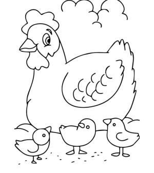 Hayvanlar boyama sayfası,  coloring page, Aile Tavuk, 