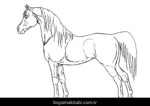 Hayvanlar boyama sayfası,  coloring page, , Standing Horse