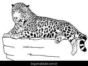Hayvanlar boyama sayfası,  coloring page, , Jaguar On The Rock
