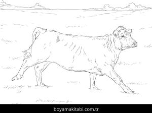 Hayvanlar boyama sayfası,  coloring page, , Running Cow