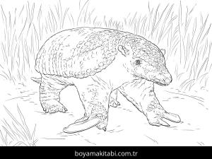 Hayvanlar boyama sayfası,  coloring page, , Realistic Giant Armadillo Coloring Page