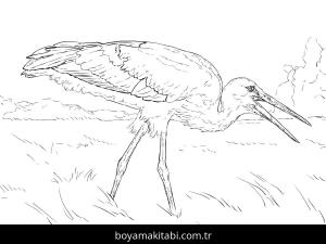Hayvanlar boyama sayfası,  coloring page, , Realistic White Stork Coloring Pages