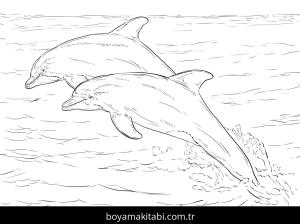 Hayvanlar boyama sayfası,  coloring page, , Realistic Dolphins
