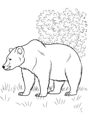 Hayvanlar boyama sayfası,  coloring page, Onunla şakalaşmamak daha iyi., 