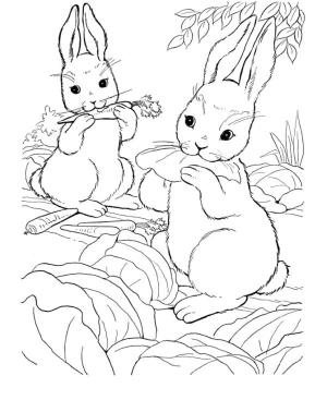 Hayvanlar boyama sayfası,  coloring page, İki tavşan, 