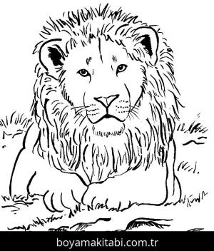 Hayvanlar boyama sayfası,  coloring page, , Realistic Lion