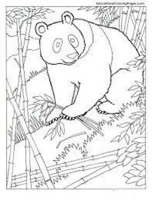 Hayvanlar boyama sayfası,  coloring page, Panda, 