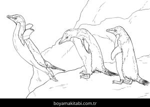Hayvanlar boyama sayfası,  coloring page, , Three Adelie Penguins