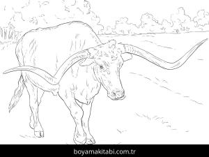 Hayvanlar boyama sayfası,  coloring page, , Realistic Texas Longhorn