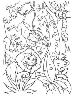 Hayvanlar boyama sayfası,  coloring page, Çeşitli orman dünyası, 