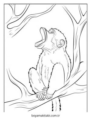 Hayvanlar Boyama