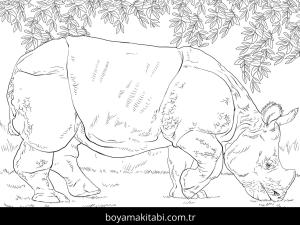 Hayvanlar boyama sayfası,  coloring page, , Indian Rhino Grazing Coloring Page