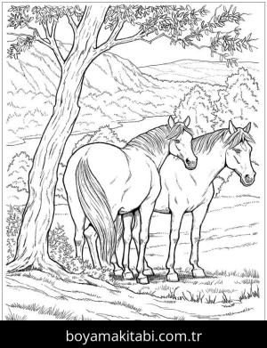 Hayvanlar boyama sayfası,  coloring page, , Wild Horse