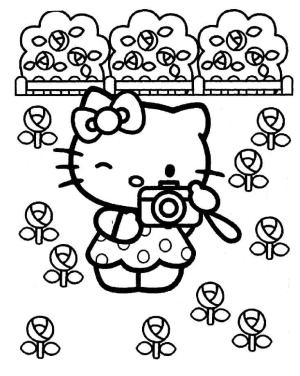 Hello Kitty boyama sayfası, Hello Kitty coloring page, Hello Kitty Çiçek Bahçesinin Fotoğraflarını Çekiyor,