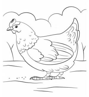 Hen boyama sayfası,  coloring page, Güzel Hen, 