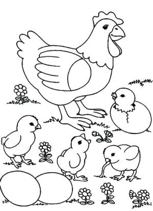 Hen boyama sayfası,  coloring page, Hen ve Civcivler, 