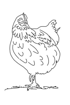 Hen boyama sayfası,  coloring page, Hen Ayakta, 