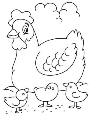 Hen boyama sayfası,  coloring page, Sevimli Hen ve üç Piliç, 