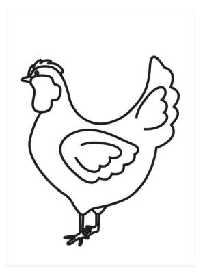 Hen boyama sayfası,  coloring page, İnanılmaz Hen, 