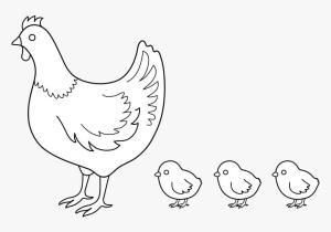 Hen boyama sayfası,  coloring page, Hen ve üç Civciv, 