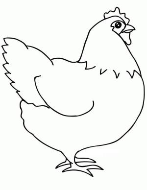 Hen boyama sayfası,  coloring page, Şişman Hen, 