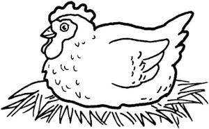 Hen boyama sayfası,  coloring page, Hen Yatarken, 