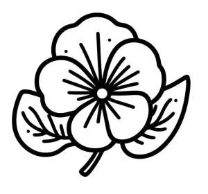 Hercai Menekşe boyama sayfası, coloring page, Kolay menekşe çiçeği,