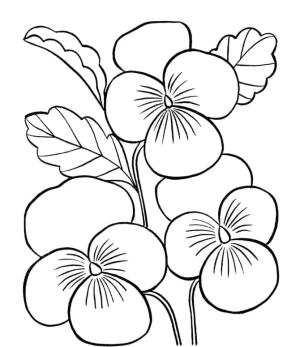 Hercai Menekşe boyama sayfası, coloring page, Sevimli Hercai Menekşe,