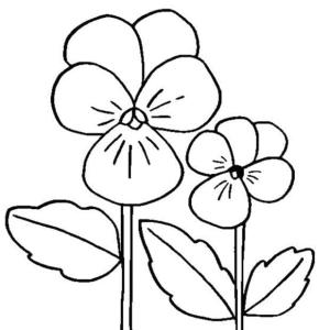 Hercai Menekşe boyama sayfası, coloring page, Güzel menekşe çiçeği,