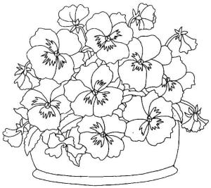 Hercai Menekşe boyama sayfası, coloring page, Hercai menekşe sepeti,