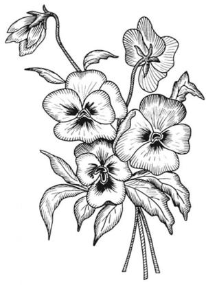 Hercai Menekşe boyama sayfası, coloring page, Hercai Menekşe anahat,