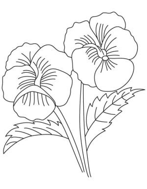Hercai Menekşe boyama sayfası, coloring page, Ücretsiz yazdırılabilir hercai menekşe,