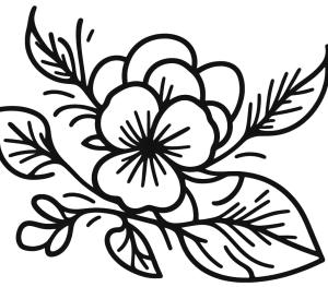 Hercai Menekşe boyama sayfası, coloring page, Basit hercai menekşe çiçeği,