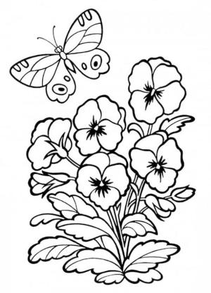 Hercai Menekşe boyama sayfası, coloring page, Hercai Menekşe ve kelebek,