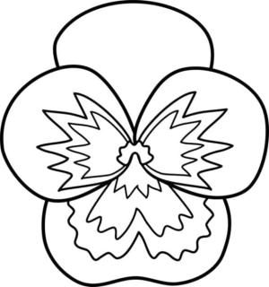 Hercai Menekşe boyama sayfası, coloring page, Bir menekşe çiçeği,