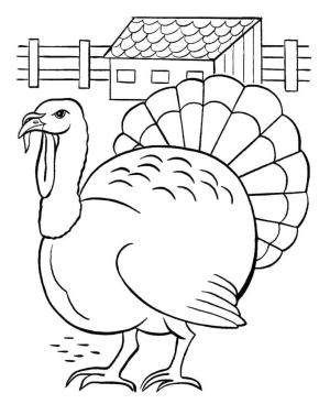 Hindi boyama sayfası,  coloring page, Evin yakınında yürüyün., 