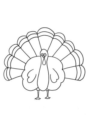 Hindi boyama sayfası,  coloring page, Sevimli Türkiye, 