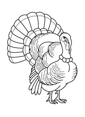 Hindi boyama sayfası,  coloring page, memnun olmayan türkiye, 