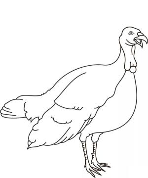 Hindi boyama sayfası,  coloring page, Güçlü kanatları olan bir kuş., 