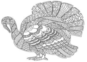 Hindi boyama sayfası,  coloring page, Karmaşık hindi boyama., 