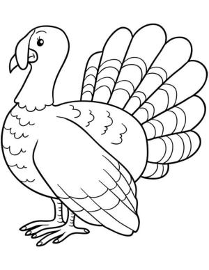 Hindi boyama sayfası,  coloring page, Güzel Hindi, 